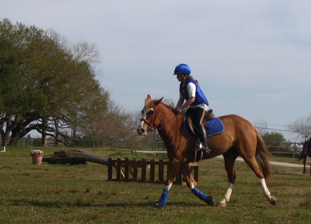  Chica con traje azul y negro subiendo a caballo 
