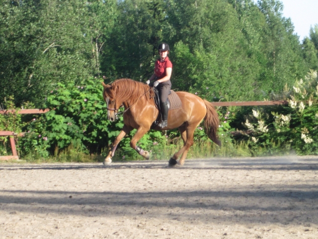 Chica con chamarra roja subiendo a caballo 