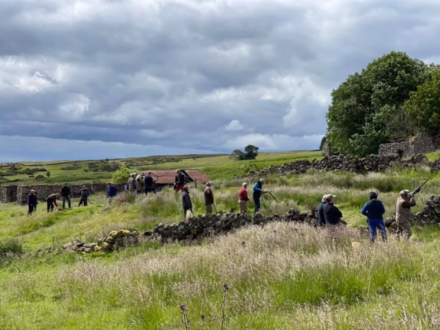  Disfruta de un agradable día en la naturaleza