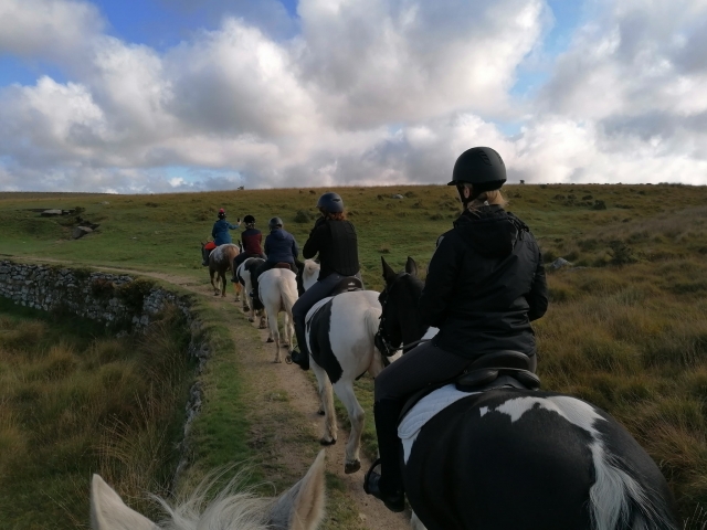  5 personas subiendo caballos blancos y negros divirtiéndose y sonriendo rumbo al Valle del Río Camello