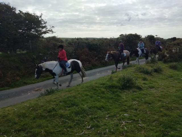  4 amigos subiendo caballos blancos y marrones en Bodmin Moor 