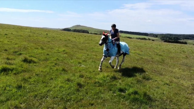 Chica galopando sobre un caballo marrón duranle su Rising Inn Trail 