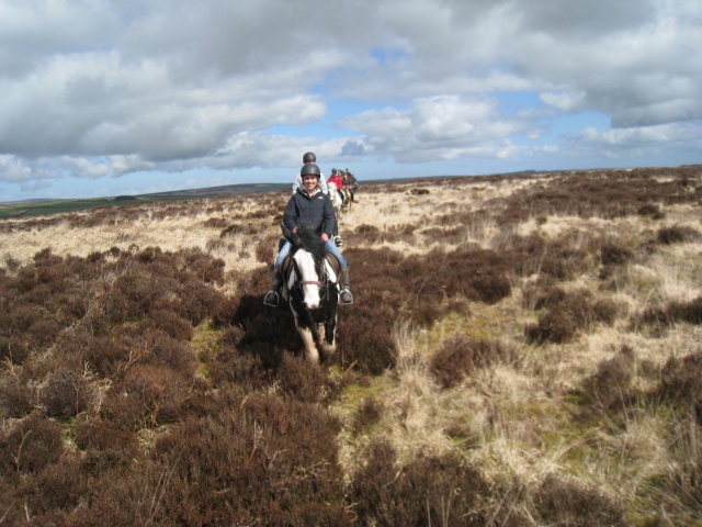 Personas subiendo caballos blancos y negros 