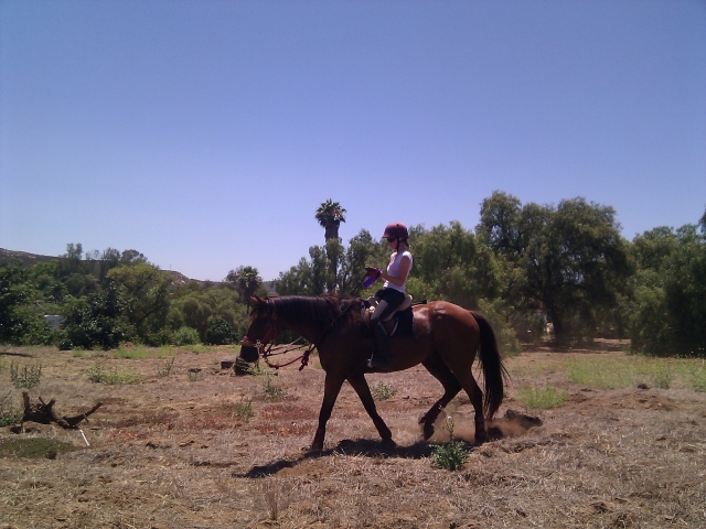  Chica con playera blanca subiendo un caballo marrón