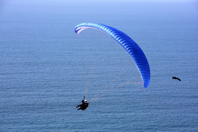  Volando sobre el mar en un parapenle volador azul 