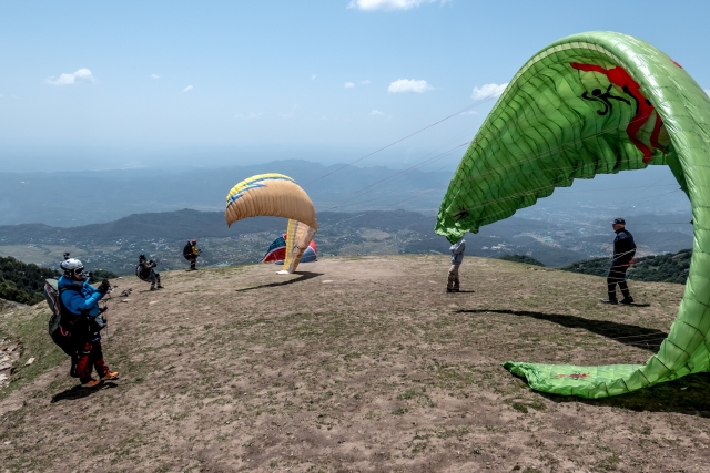  Grupo de personas preparándose a volar en parapenle amarillo y verde
