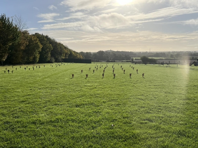  Disfruta de un día en nuestro campo de jalo al aire libre 