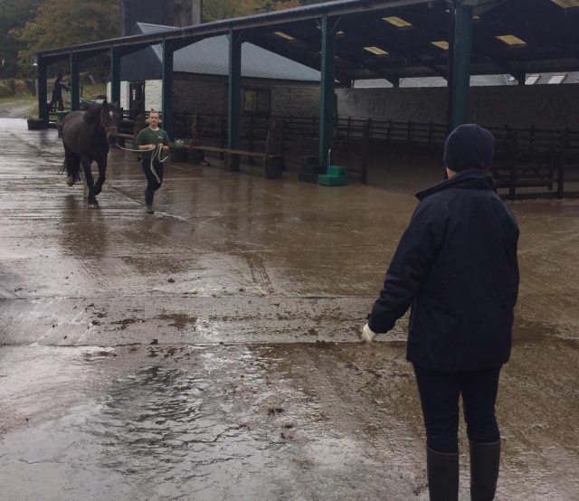 Mujer con chamarra negra esperando que su pony dé un paseo