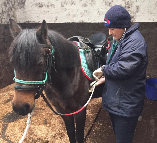 Mujer con suéter negro preparando el caballo para una sesión