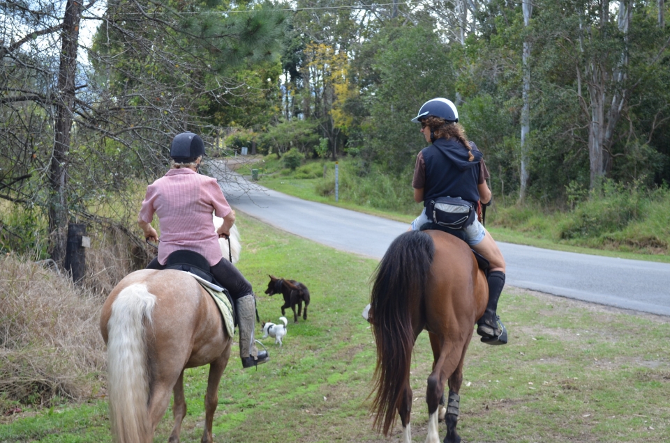 Dos niñas vestidas con suétes negros y rosas y cascos negros subiendo a caballo 