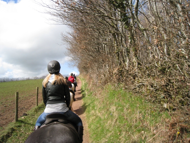  Chica con casco y chamarra negra subiendo a caballo con sus amigas 