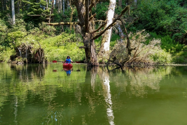  Dos personas en una canoa roja haciendo piragüismo en el río Blue 