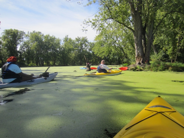  Tres personas con ayudas de flotabilidad negras haciendo kayak en el río