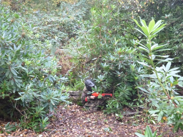 Dispara a su oponente