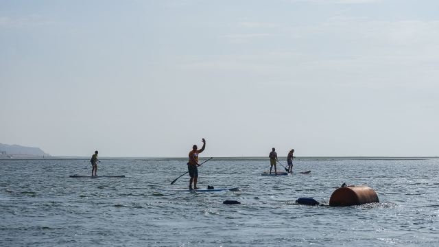  Sesión de paddleboard 