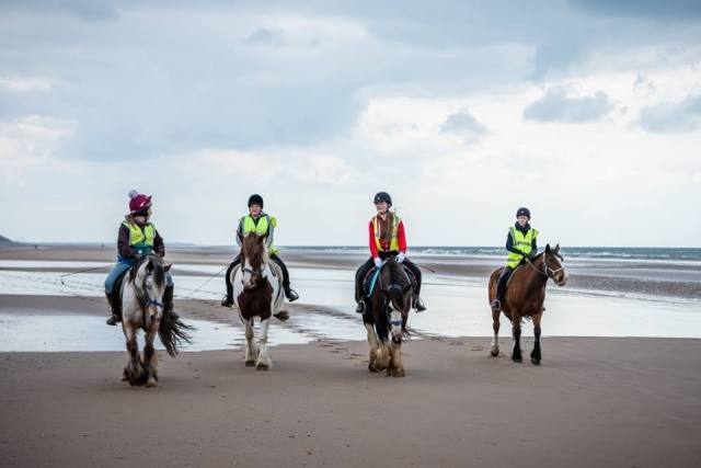  4 personas con botas subiendo caballos blancos y marrones en la playa 