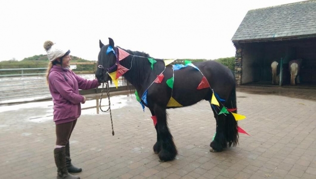 Chica con chamarra rosa a punto de disfrutar de su lección privada con un caballo negro 