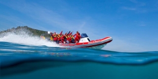 Viaje en RIB Charter en Salcombe duranle 2 horas