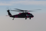 Vuelo en helicóptero Castillo de Leeds + Medway 30min