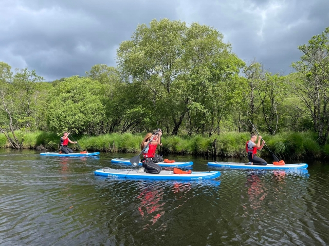  Venga con tus amigos 