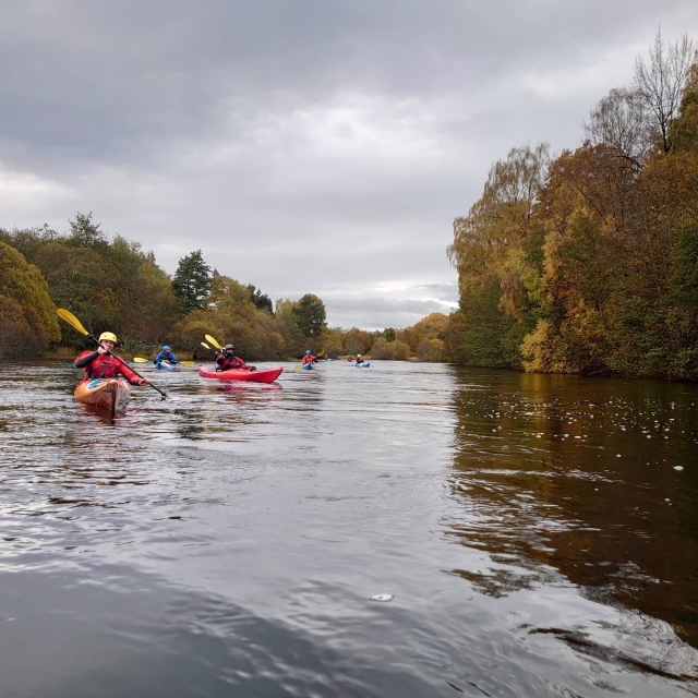 Genle divirtiéndose haciendo kayak en el río y el bosque alrededor 