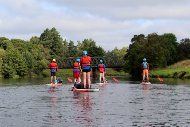  Grupo de amigos con cascos azules y ayudas de flotabilidad azules haciendo paddleboard hacia el puenle 
