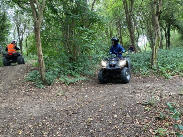  por el bosque 