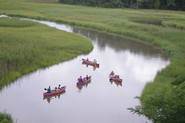 Niños y padres navegando en canoa río abajo