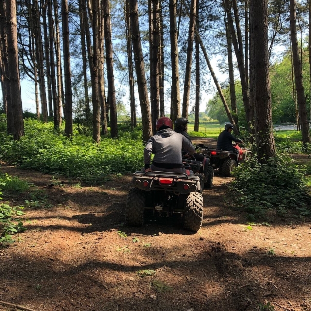 Explorar el bosque