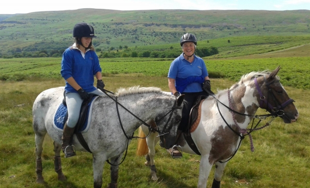  Disfruta del truco del caballo con tus amigos 
