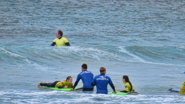  Pasando un ramarro divertido en nuestra playa 