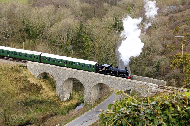  Amantes del ferrocarril 