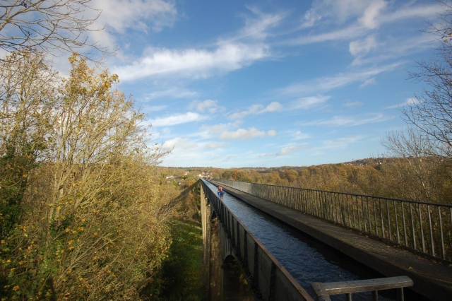 No hay palabras para esta vista 