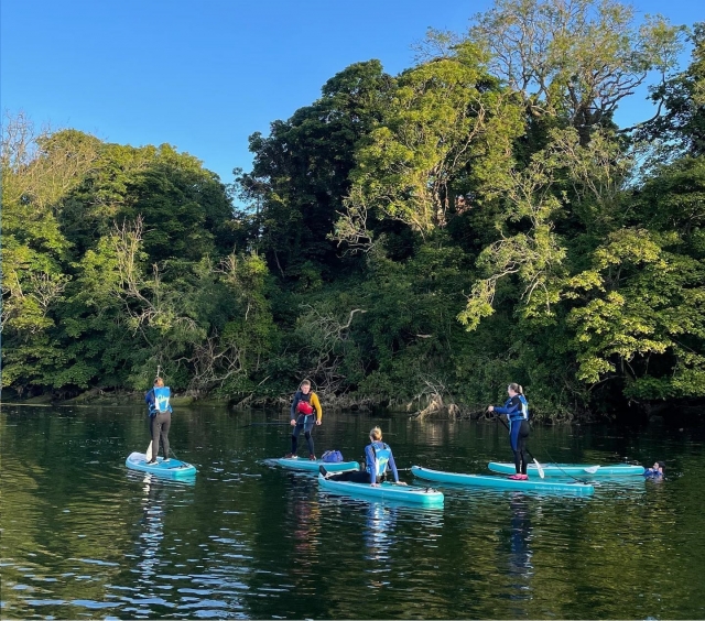  Venga a remar con tus amigos