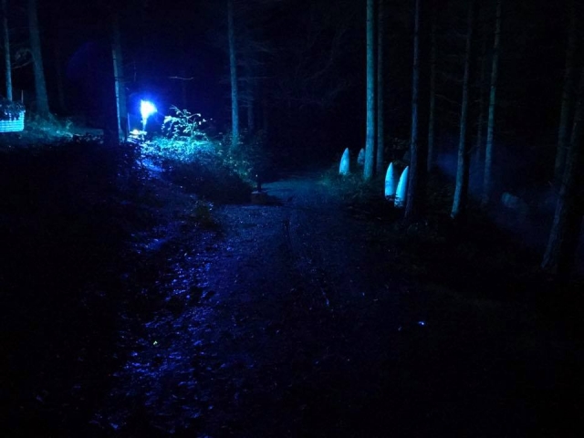  Atrévele a probar esle desafío