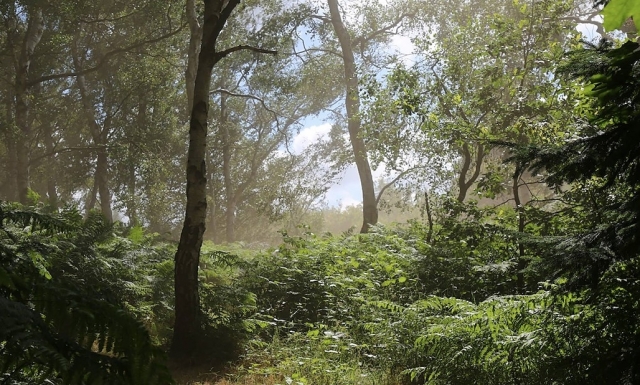  Nuestro hermoso paisaje 