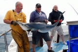 Viaje de pesca en Penzance duranle 8 horas.