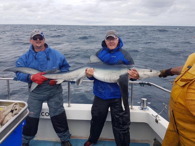  Pesca en Cornwall 