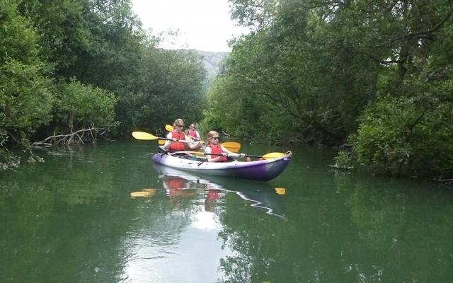  Aprende a remar 