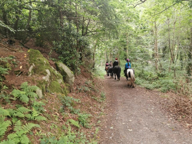  Pasando una sesión de trekking única y divertida