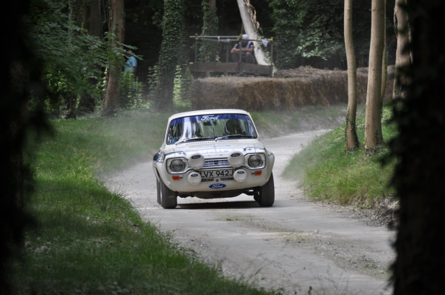  Amantes de Ford 