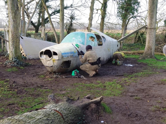 Sienle la adrenalina