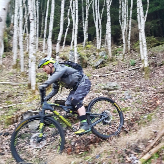 Corre por senderos boscosos en bicicleta de cerro