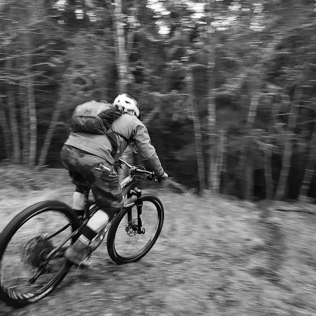 Explora el hermoso bosque desde su bicicleta