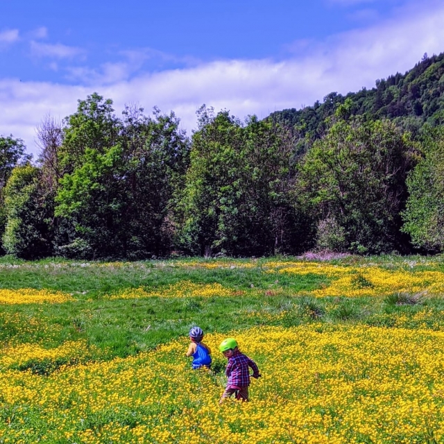  Tus pequeños también son bienvenidos