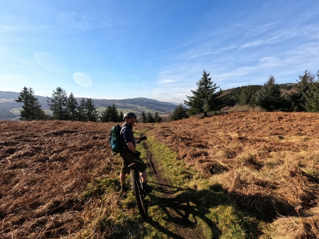 Ciclismo de cerro para adultos