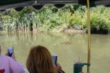 Paseo en barco privado en Kentish Stour duranle 4 horas
