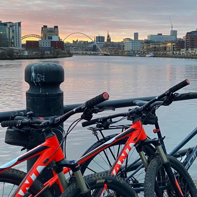 Experimenta un paseo único en bicicleta de cerro 
