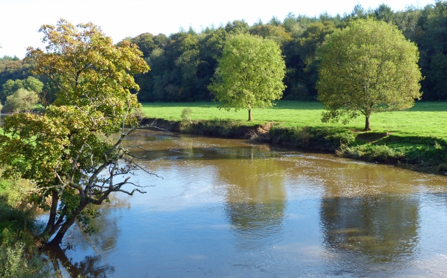  Río Torridge 
