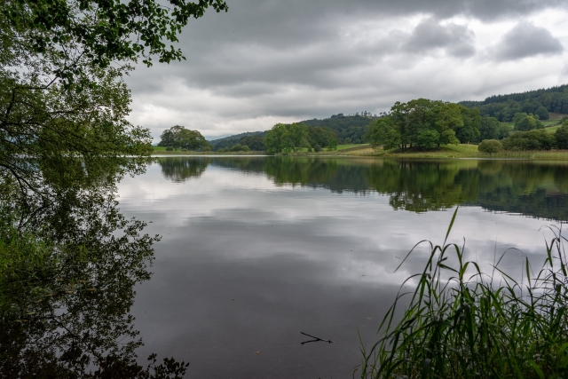 Las actividades acuáticas nunca fallan 